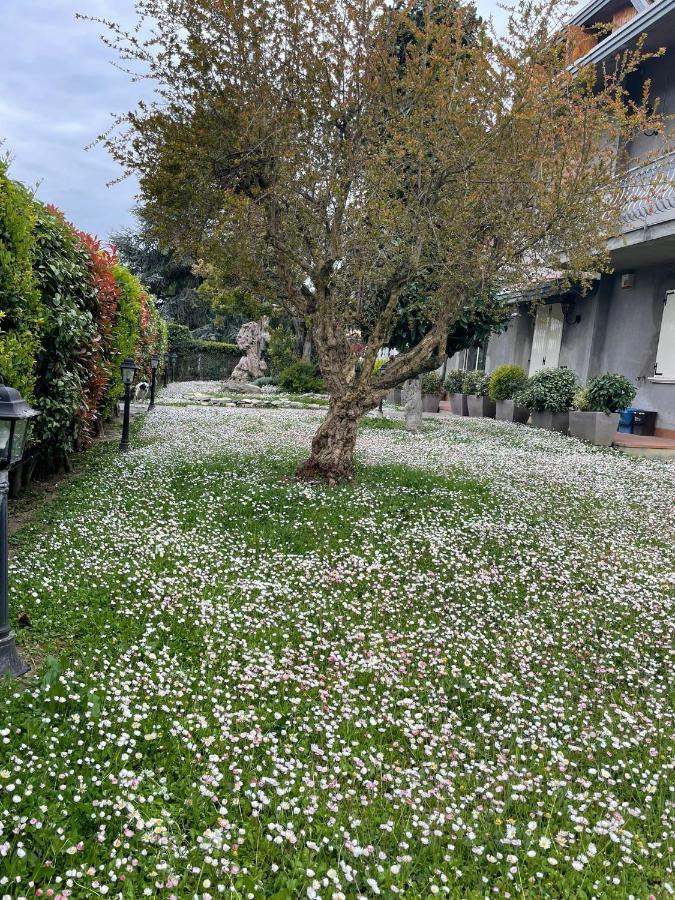Magnolia 호텔 사이비그나노수르루비코니 외부 사진